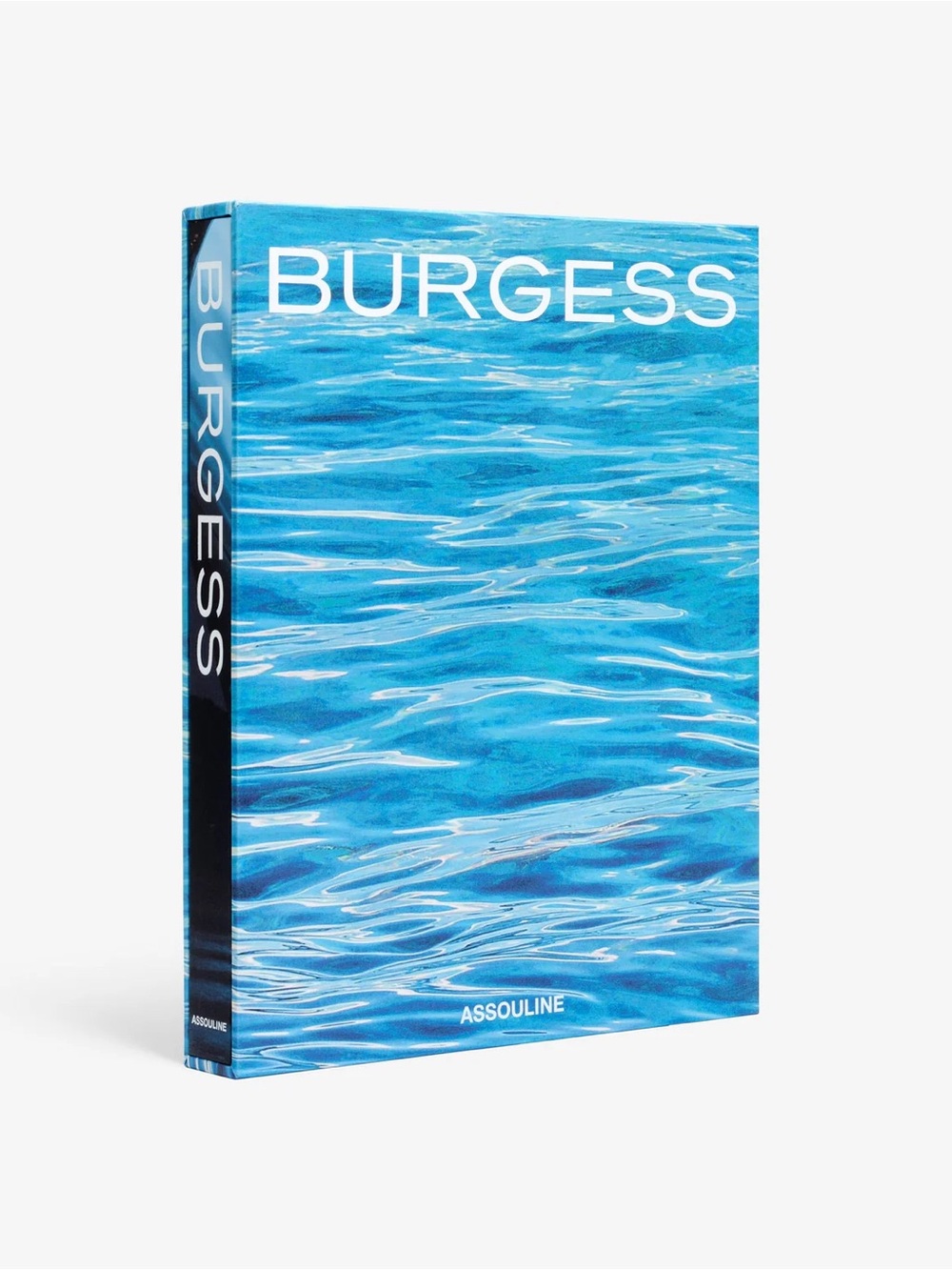 Assouline Burgess Blue Decorative Art Book